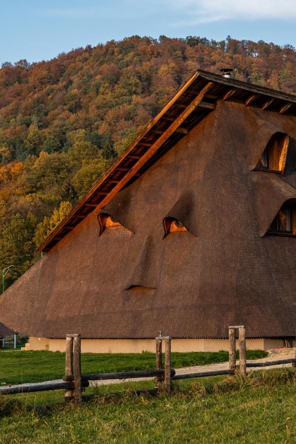 ホテル Cuibul De Lemn Rîşnov エクステリア 写真